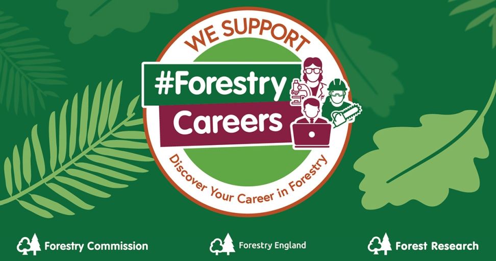 Forestry Commision campaign news